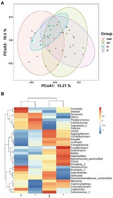 Analysis of subgingival micro-organisms based on multi-omics and Treg/Th17 balance in type 2 diabetes with/without periodontitis